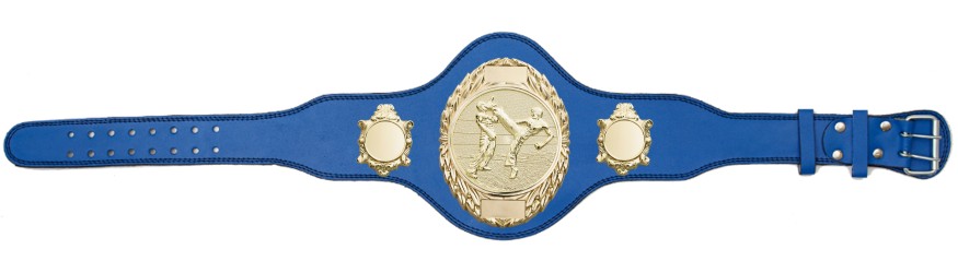 KICKBOXING TITLE BELT - PLT286/G/KBOG-4 COLOURS